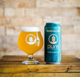 Tropical Mist Blonde Ale